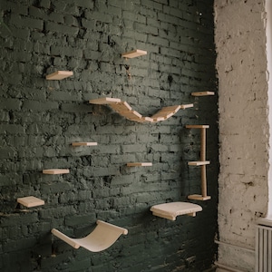 Floating cat wall furniture post, modern climbing shelves set made from natural wood includes bed, hammock, steps, bridge, scratching post
