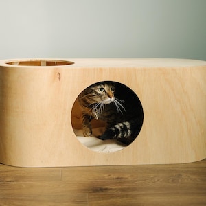 Modern cat condo couch with pillow, pet indoor house furniture, large bed perch, wooden handmade cave post, sleeping place, Christmas gift