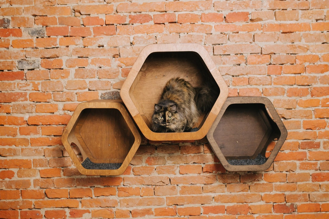 Cat Playground Wall Hexagon Shelves in Minimalist Etsy