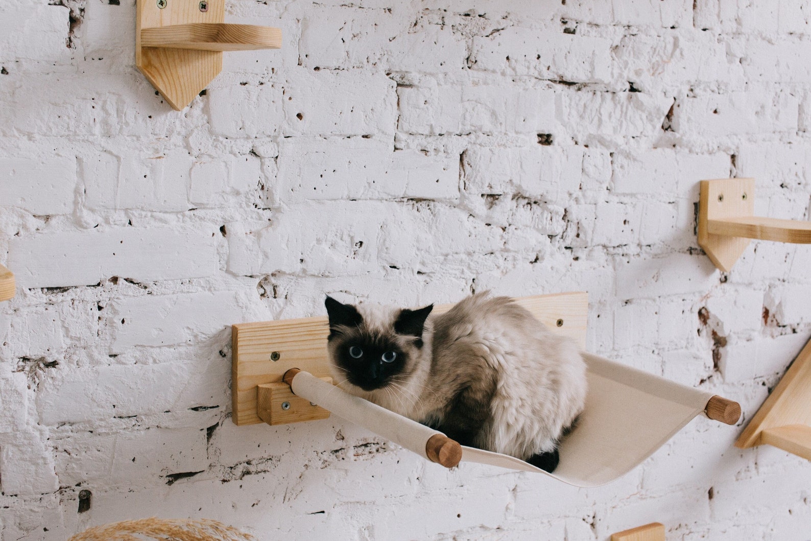 Olivenorma Woven Cat Nest Pet Hammock Wall Decor main image 0