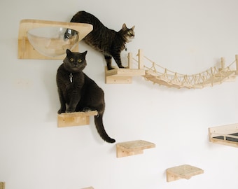 Cat wall shelves set playground, climbing wall tree jungle gym, modern furniture post, bed, steps, stairs (ladder), cat scratcher