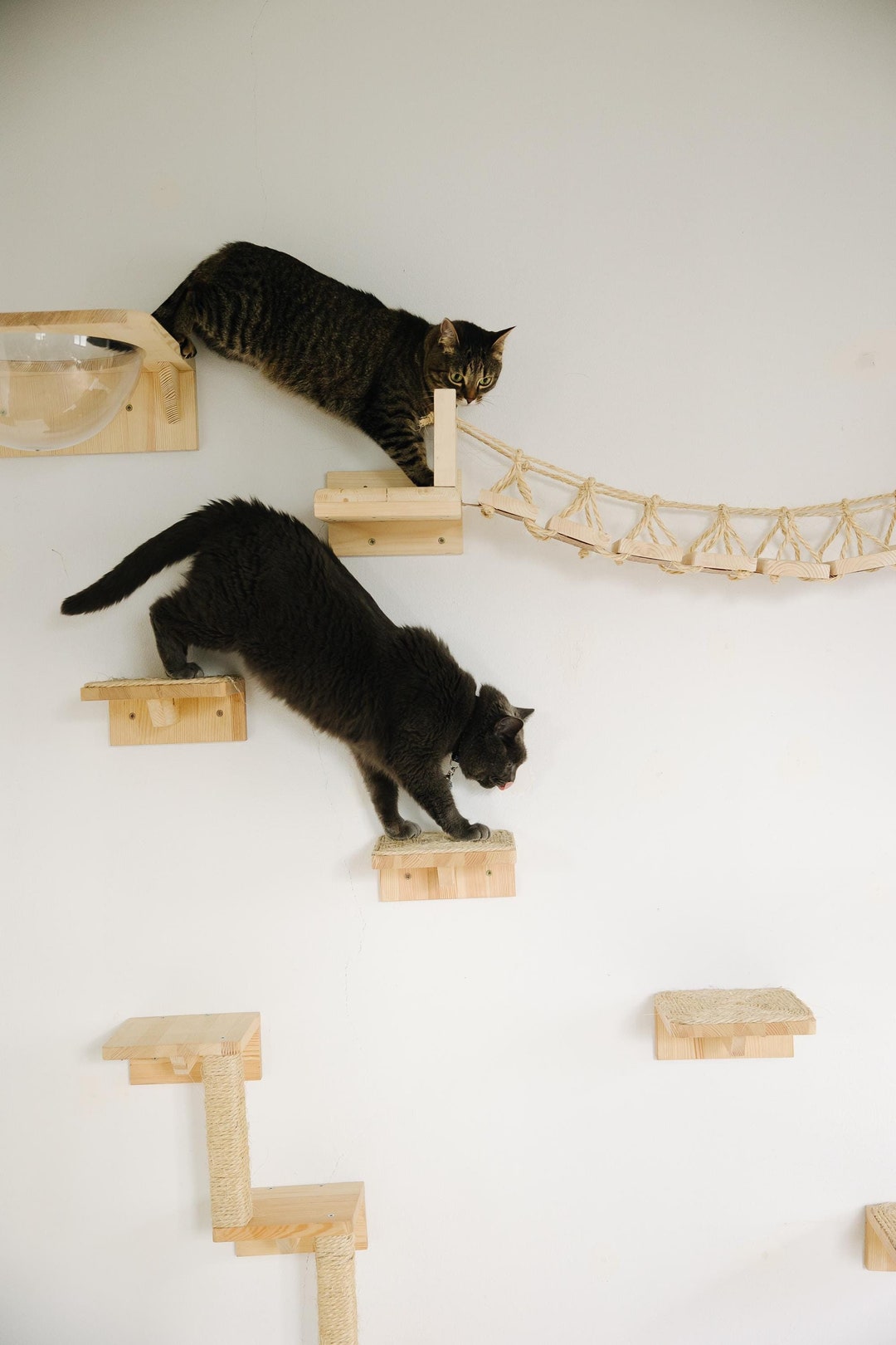large-cat-furniture-steps-with-carpet-or-sisal-rope-maine-coon-wooden