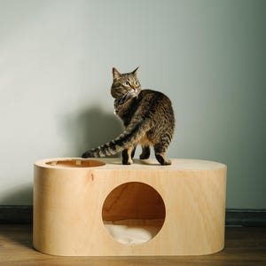 May include: A tabby cat stands atop a light wood cat house with a circular entrance. The cat house has a rounded rectangular shape with an open top section. The cat is looking over its shoulder.