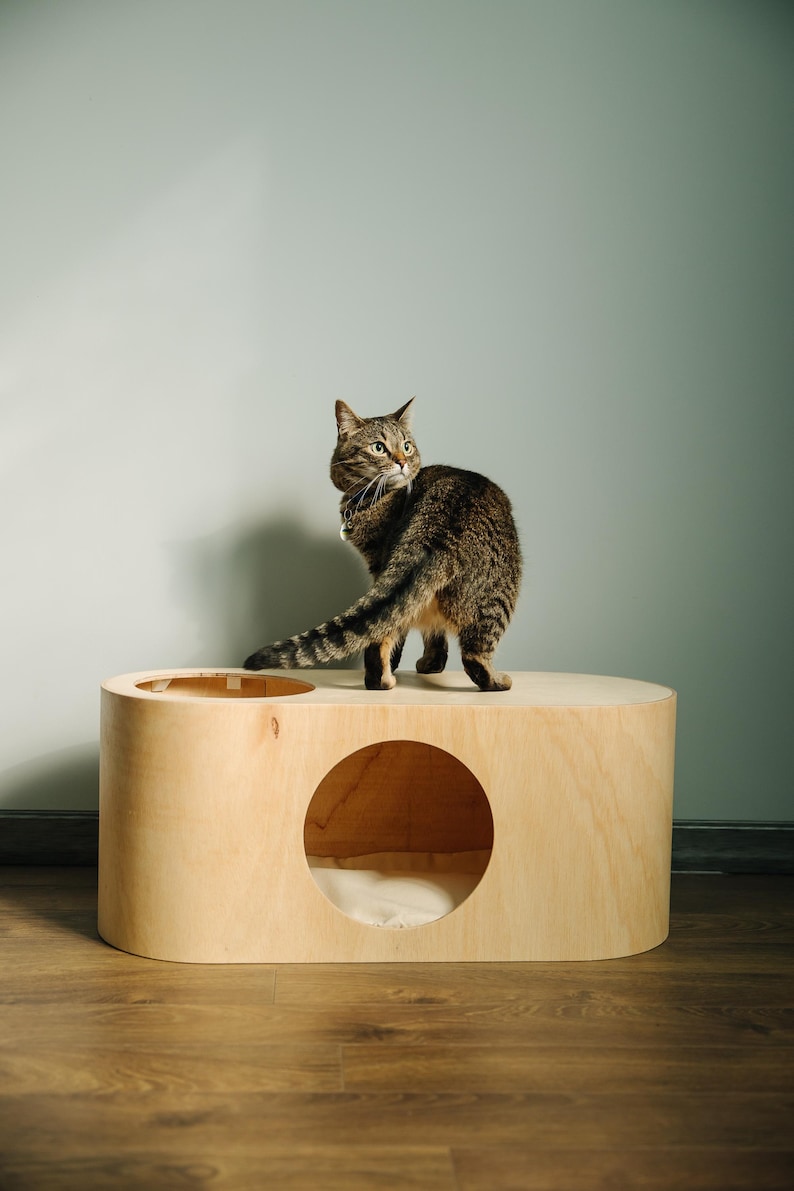 May include: A tabby cat stands atop a light wood cat house with a circular entrance. The cat house has a rounded rectangular shape with an open top section. The cat is looking over its shoulder.