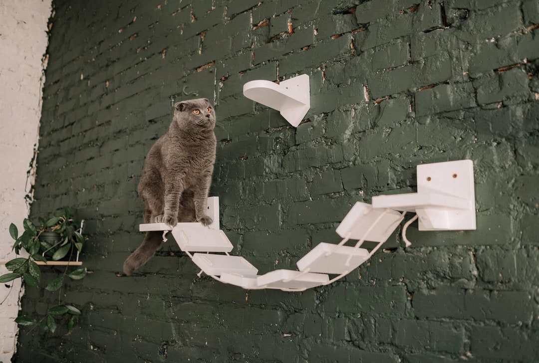 White Solid Wood Cat Wall Bridge Made From Natural Ecological Etsy