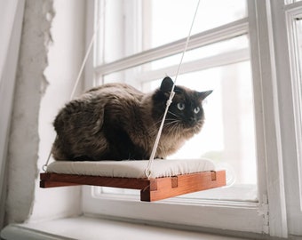 May include: A brown and black cat sits on a wooden cat bed hanging from a window. The cat bed is suspended by white cords and has a white fabric cushion.