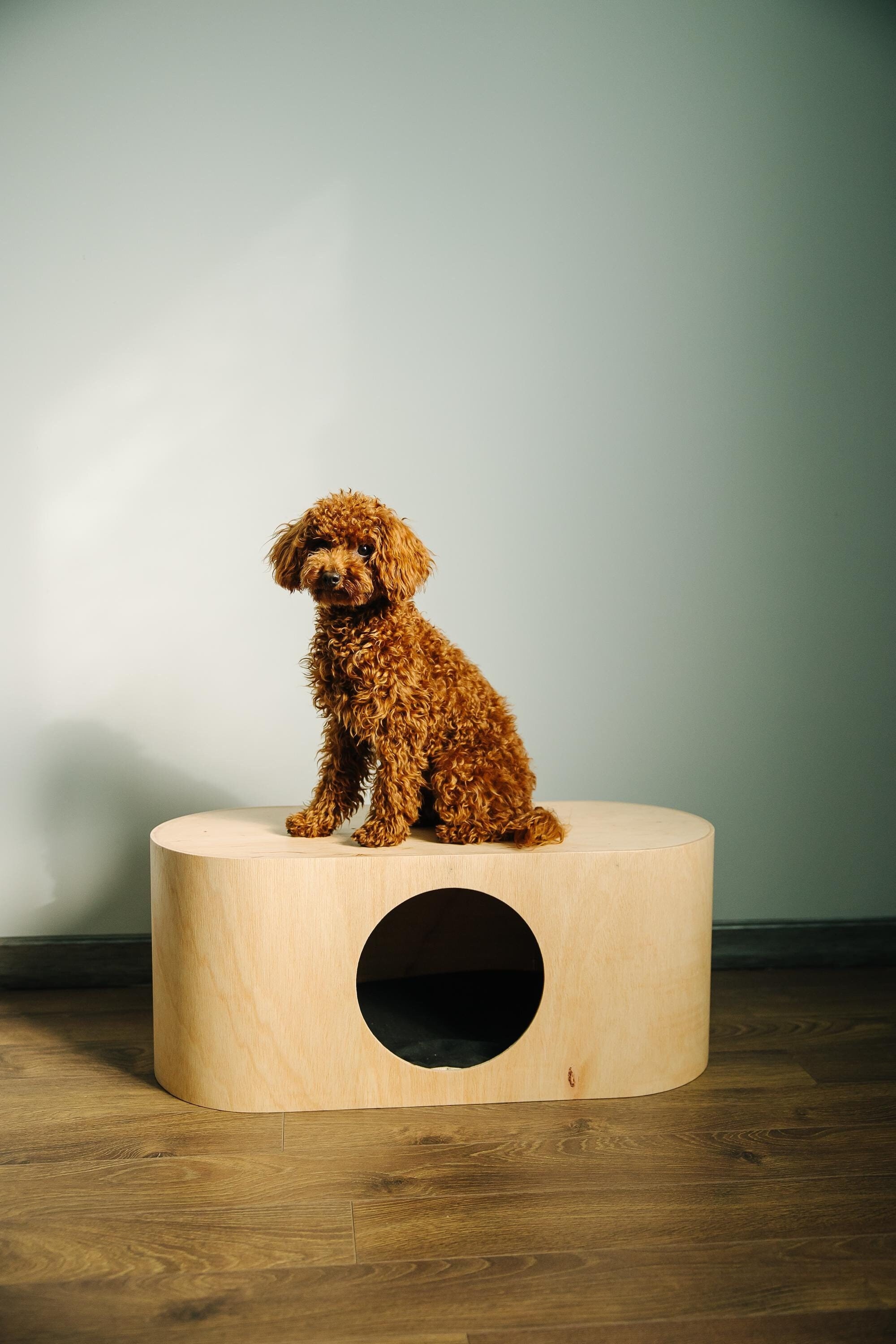 Small dog and puppy indoor crate furniture, cat house with pillow, wooden bed perch, modern cave post, pet sleeping place, Christmas gift