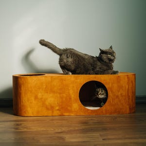 Può includere: Un gatto grigio è sdraiato sopra una cuccia di legno con un'apertura rotonda. Un altro gatto sbuca dall'interno della cuccia. La cuccia è di un caldo colore marrone dorato e poggia su un pavimento in legno.