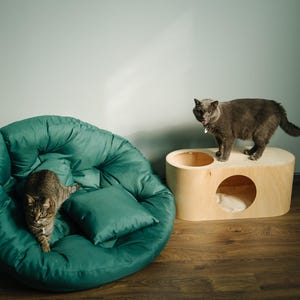 May include: Two cats are featured in this image. One cat is resting on a teal, round pet bed with a matching pillow. The other cat is standing on a light wood cat house with a circular opening. The cat house has a round opening on top.