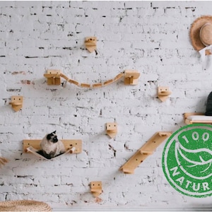 Recycled pine wood cat wall furniture (playground ceiling shelves) includes bed, hammock, steps, bridge, scratching post