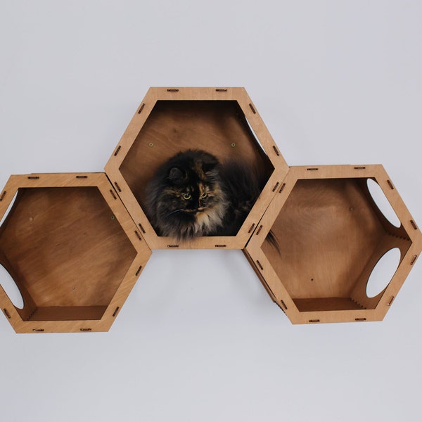 Ensemble d'étagères murales hexagonales pour chat, montant de meuble avec étagères hexagonales en nid d'abeille de style minimaliste, cadeau de Noël pour amoureux des chats