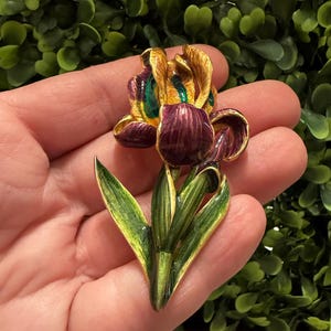 Könnte beinhalten: Eine detaillierte Emaille-Brosche in Form einer Irisblüte. Die Brosche hat violette Blütenblätter, goldene Akzente und grüne Blätter. Die Blume ist eine realistische Darstellung einer Iris mit aufwendigen Details und poliertem Finish.