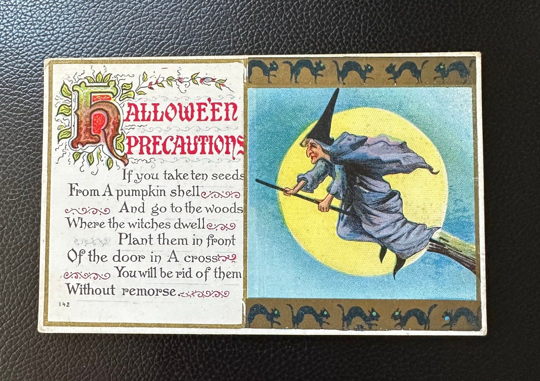 Halloween Postcard Precautions Witch Broom Black Cats Moon Series 142