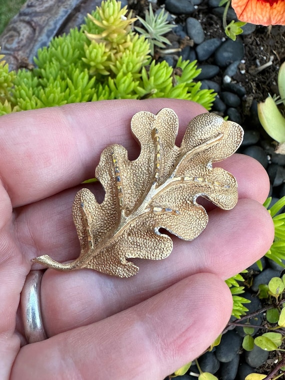 Vintage Jewelry Brooch Beautiful Fall Leaf Gold T… - image 1