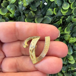 Peut inclure: Broche en métal doré en forme de lettre "V". La broche présente une surface texturée et un motif de feuilles décoratives. La lettre est tenue dans une main sur un fond de feuillage vert.