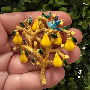 Cadoro Brooch - Etsy