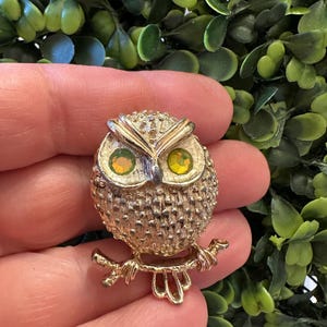 【公式ショップ】 coventry Sarah owl 日本 Etsy - brooch アクセサリー