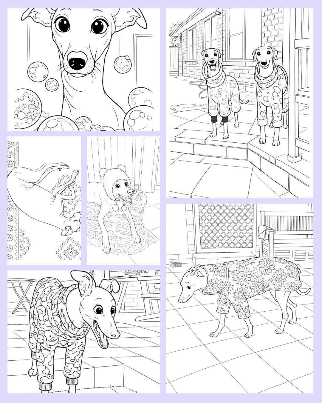 Greyhound Racing Colouring Greyhound #1 - 18 Printable Colouring Pages - Etsy Canada