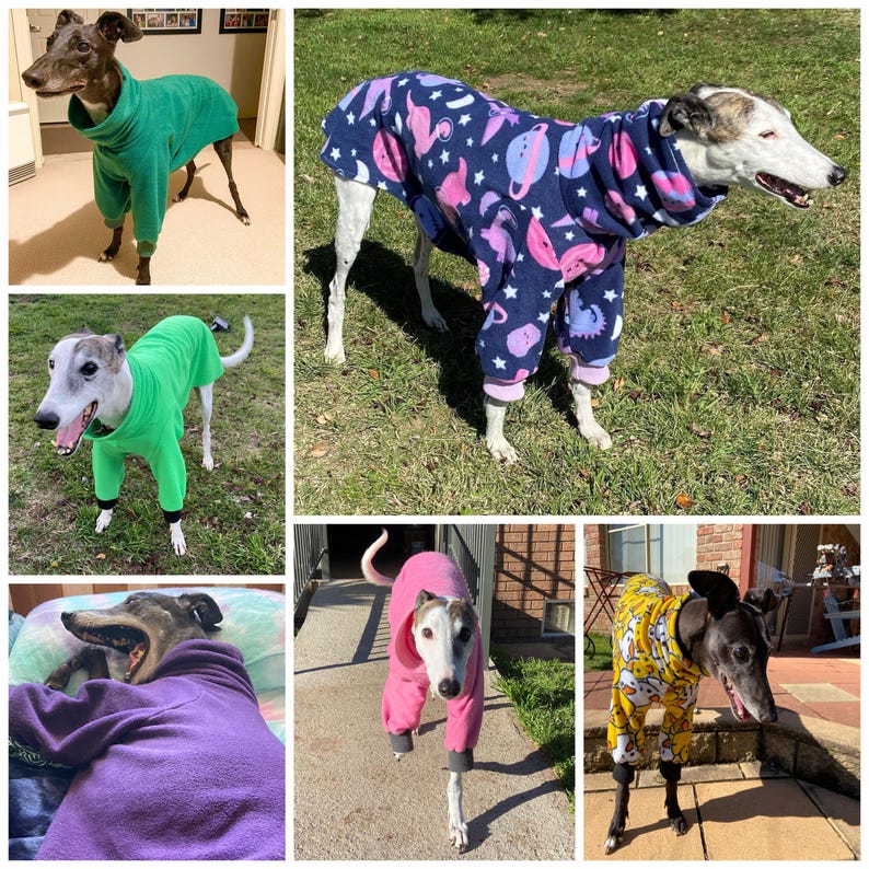 Peut inclure: Une collection de pyjamas et pulls en polaire pour chien dans divers coloris et motifs, incluant du vert uni, du rose uni, du violet, du jaune avec des motifs de fant&ocirc;mes blancs et un tissu bleu fonc&eacute; avec des plan&egrave;tes roses et des &eacute;toiles.