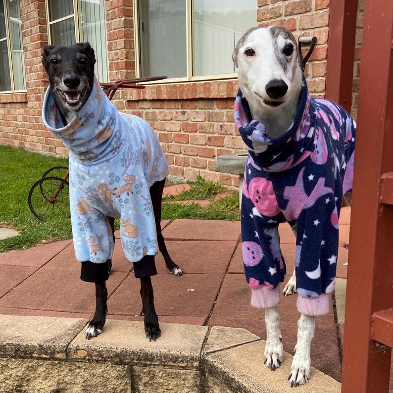 Peut inclure: Deux l&eacute;vriers portant des pyjamas en polaire. Le chien &agrave; gauche est noir et porte un pull bleu clair avec un motif de cerfs et d'arbres beiges. Le chien &agrave; droite est blanc et gris et porte un pull bleu fonc&eacute; avec des lunes et &eacute;toiles roses.