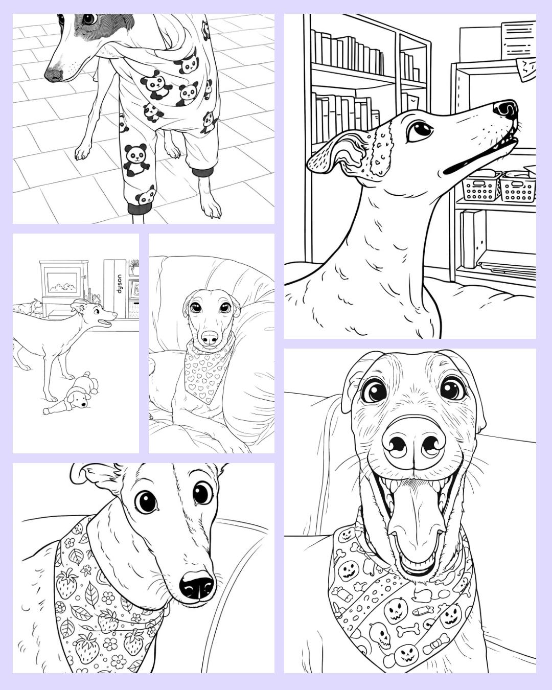 Greyhound Racing Colouring Greyhound #1 - 18 Printable Colouring Pages - Etsy Canada