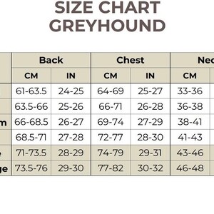 Peut inclure: Un tableau de guide des tailles pour l&eacute;vrier avec du texte gris fonc&eacute; sur fond clair. Le tableau liste les tailles de XSmall &agrave; XXLarge, fournissant les mesures en centim&egrave;tres et en pouces pour le dos, la poitrine et le cou des v&ecirc;tements.