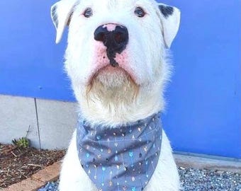 Liquidation - Bandana pour animaux de compagnie (sur-collier) - Flèches