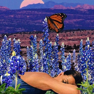 Pillow of Bluebonnets - Art Print or Digital Download