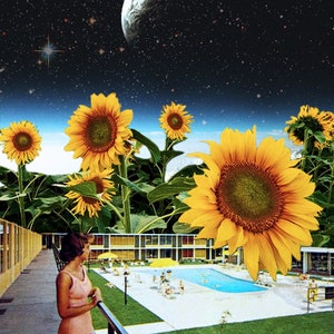 Celestial Sunflowers - Art Print or Digital Download