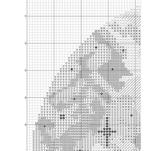 Nature Cross Stitch Pattern, Modern Cross Stitch Pattern, Landscape Cross Stitch Patterns, Northern Lights Cross Stitch, Galaxy, Starry Sky image 4