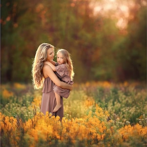Sunset Summer Field Digital Backdrop, Golden Hour Background, Yellow Flowers, Nature, Meadow, Instant Download