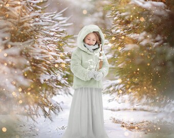 Christmas Digital Backdrop, Winter Digital Background, Fir Tree, Christmas Bokeh, Nature, Winter Forest, Instant Download