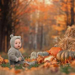 May include: A baby wearing a gray hooded onesie sits in a pile of autumn leaves with pumpkins in the background.