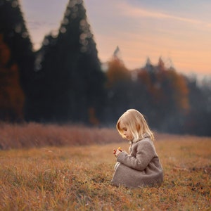 Autumn Field Digital Background, Fall Meadow Backdrop, Autumn Light, Trees, Nature, Instant Download
