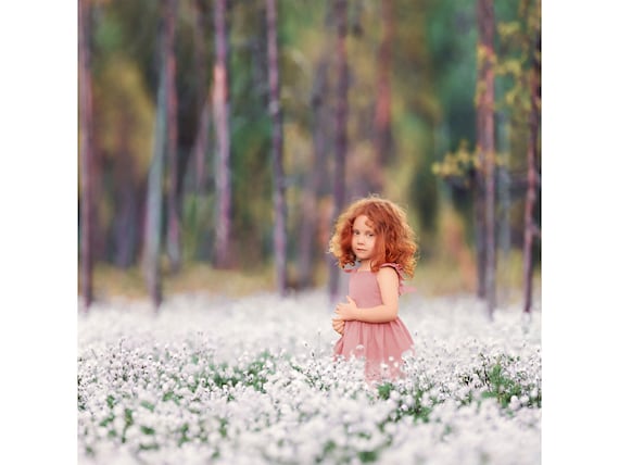 White Flower Field Digital Background, Spring Meadow Backdrop, Spring Forest, Cotton Grass, Nature, Instant Download