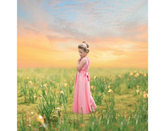 Narcissus Meadow Digital Background, Flower Field Backdrop, Spring, Nature, Instant Download