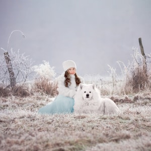 Frozen Field Digital Background, Winter Backdrop, Snow, Nature, Outside, Instant Download