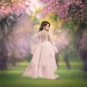 Spring Garden Digital Background, Apple Blossom Backdrop, Blooming Trees, Flowers, Nature, Outdoor, Instant Download
