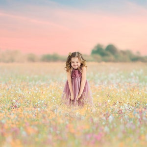 Summer Meadow Digital Background, Flower Field Background, Nature, Meadow, Instant Download