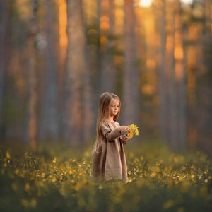 May include: A young girl in a brown dress stands in a field of yellow wildflowers, holding a small bouquet of yellow flowers in her hand. The background is a blurred forest with warm, golden light.