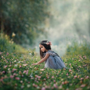 Peut inclure: Une jeune fille portant une robe en tulle grise avec une couronne de fleurs est assise dans un champ de trèfle.