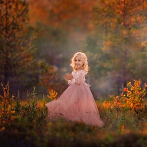 May include: A young girl in a pink tulle dress with white lace details stands in a field of green grass and brown foliage. The girl is smiling and looking at the camera. The background is blurred and out of focus, with a warm, golden light.