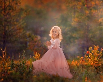 Golden Autumn Forest Digital Background, Fall Sunset Backdrop, Autumn Sun, Colorful Trees, Nature, Instant Download