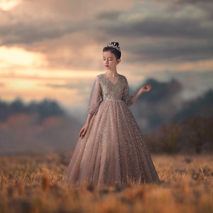 Peut inclure: Une jeune fille portant une robe de princesse scintillante de couleur brun clair avec une couronne sur la tête. Elle se tient dans un champ d'herbe haute avec un arrière-plan flou de montagnes et un ciel de coucher de soleil.