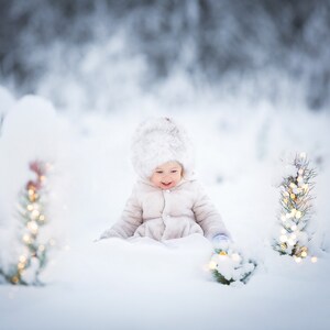 Christmas Digital Backdrop, Winter Digital Background, Fir Tree, Christmas Bokeh, Nature, Winter Forest, Instant Download