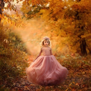 Könnte beinhalten: Ein junges Mädchen in einem rosa Tüllkleid steht in einem Wald mit Herbstlaub. Das Mädchen trägt eine Blumenkrone und schaut in die Kamera.