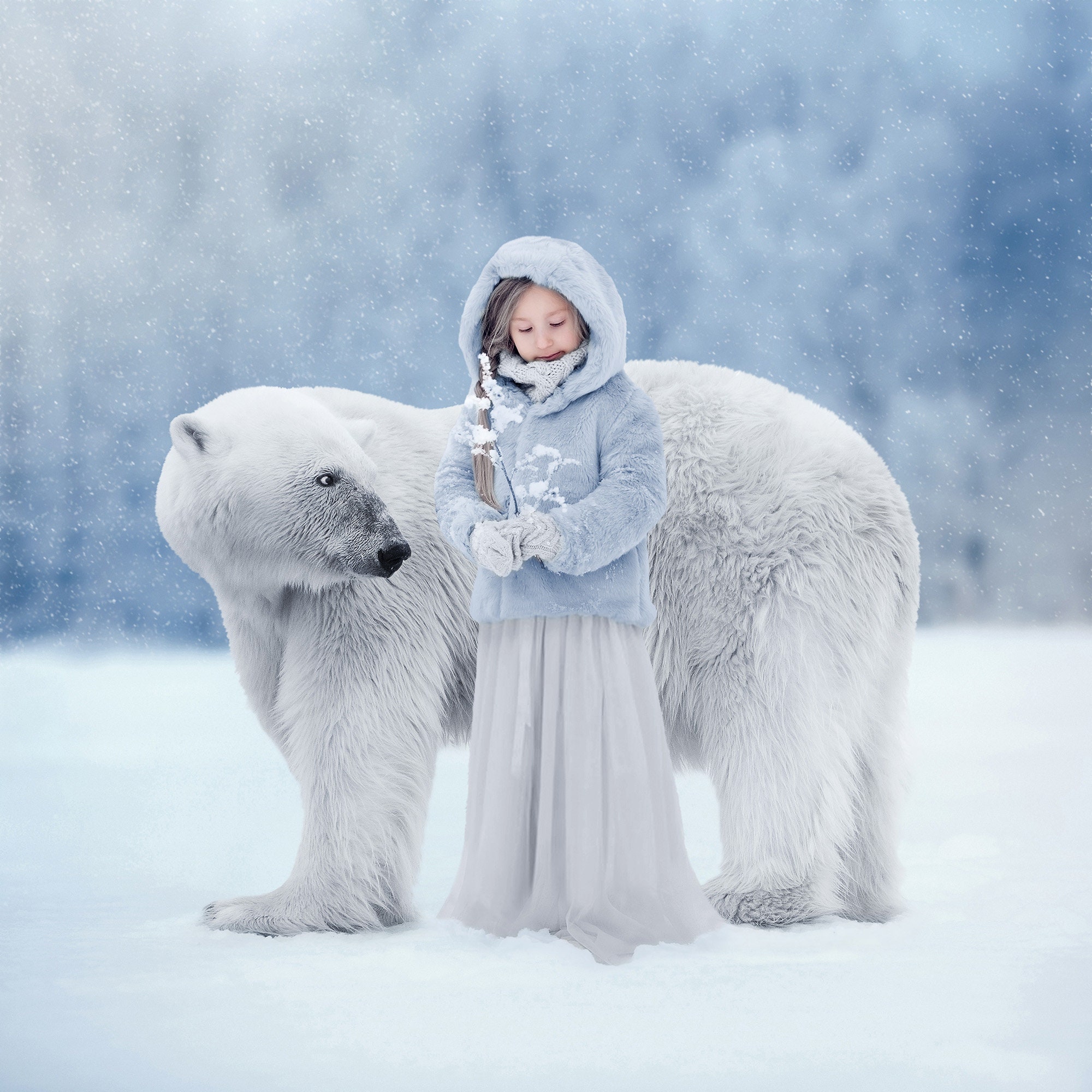 White Bear Digital Background, Polar Bear, Winter  Backdrop, Animal, Nature, Outside, Instant Download