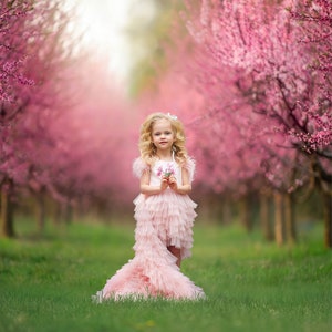 May include: A young girl in a pink tulle dress stands in a field of pink flowering trees. She is holding a bouquet of pink flowers.