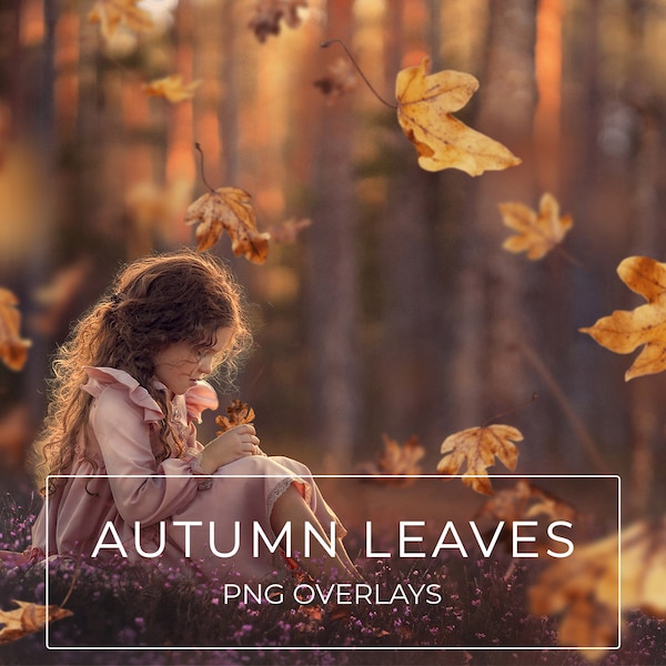 Falling Leaves Overlays, Autumn Leaf Photoshop Overlays, Autumn Clip Art, Fall, Birch Maple PNG, Instant Download