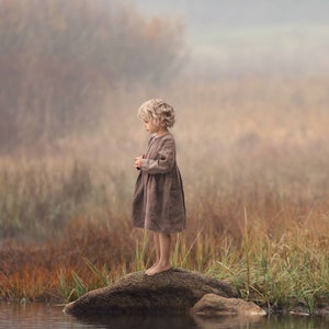 Puede incluir: Una niña con un vestido marrón se para en una roca en un campo brumoso. La niña mira hacia el suelo. El campo está cubierto de hierba alta y hay un cuerpo de agua en el fondo.